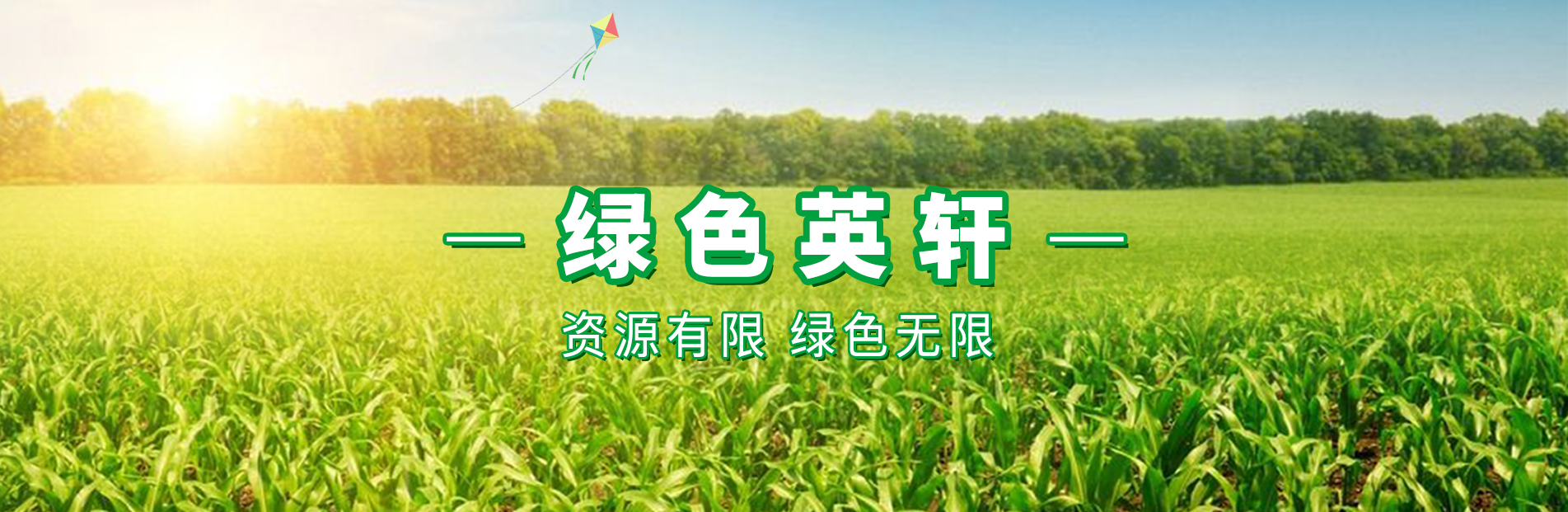 香港六合彩开奖记录