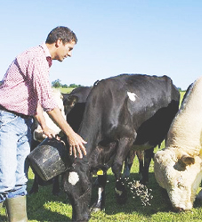 香港六合彩开奖记录